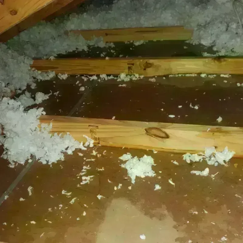 Attic Water Damage in Lakefield, MN